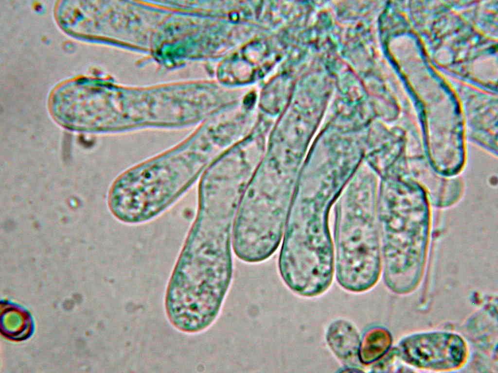 Quiz.z.z.z.z.z......